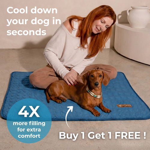 Cooling Mat