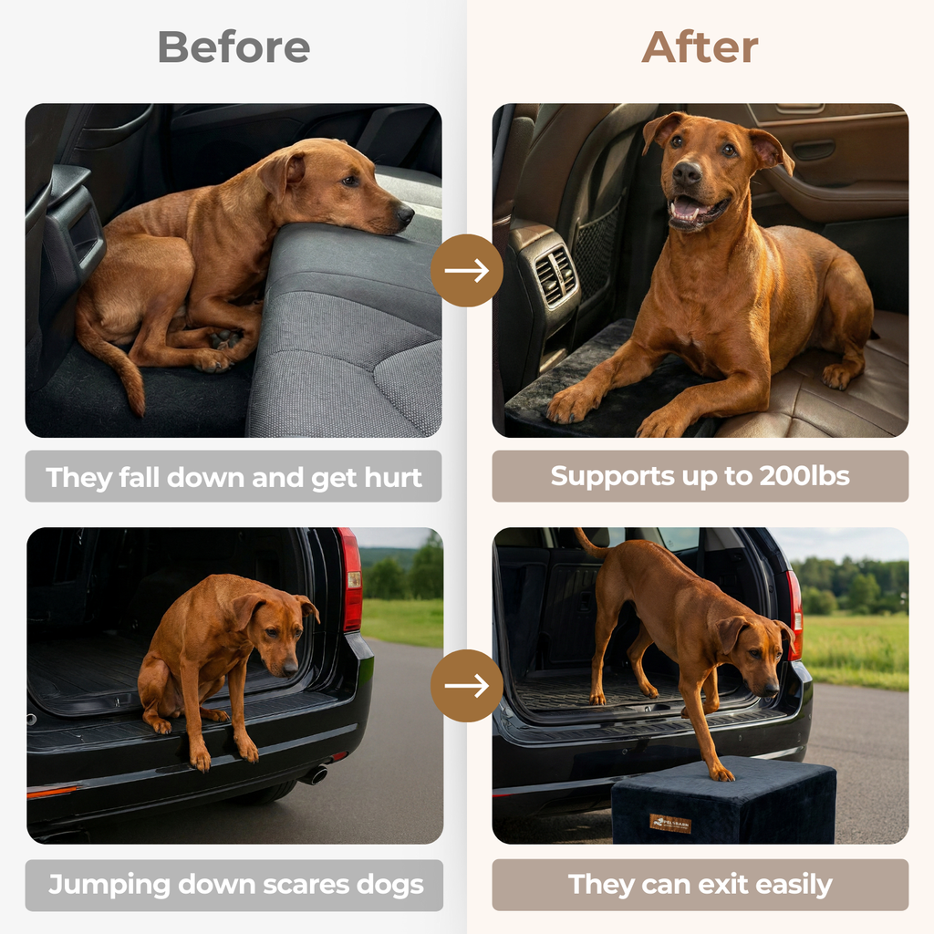 Dog Car Seat Extender