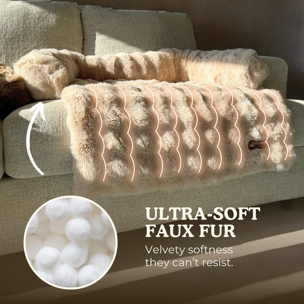 Luxurious Sofa Bed