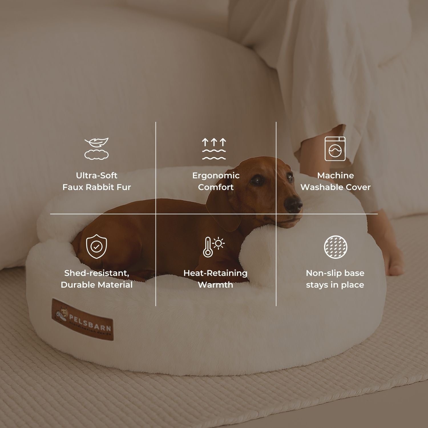 New: The Science of Canine Comfort