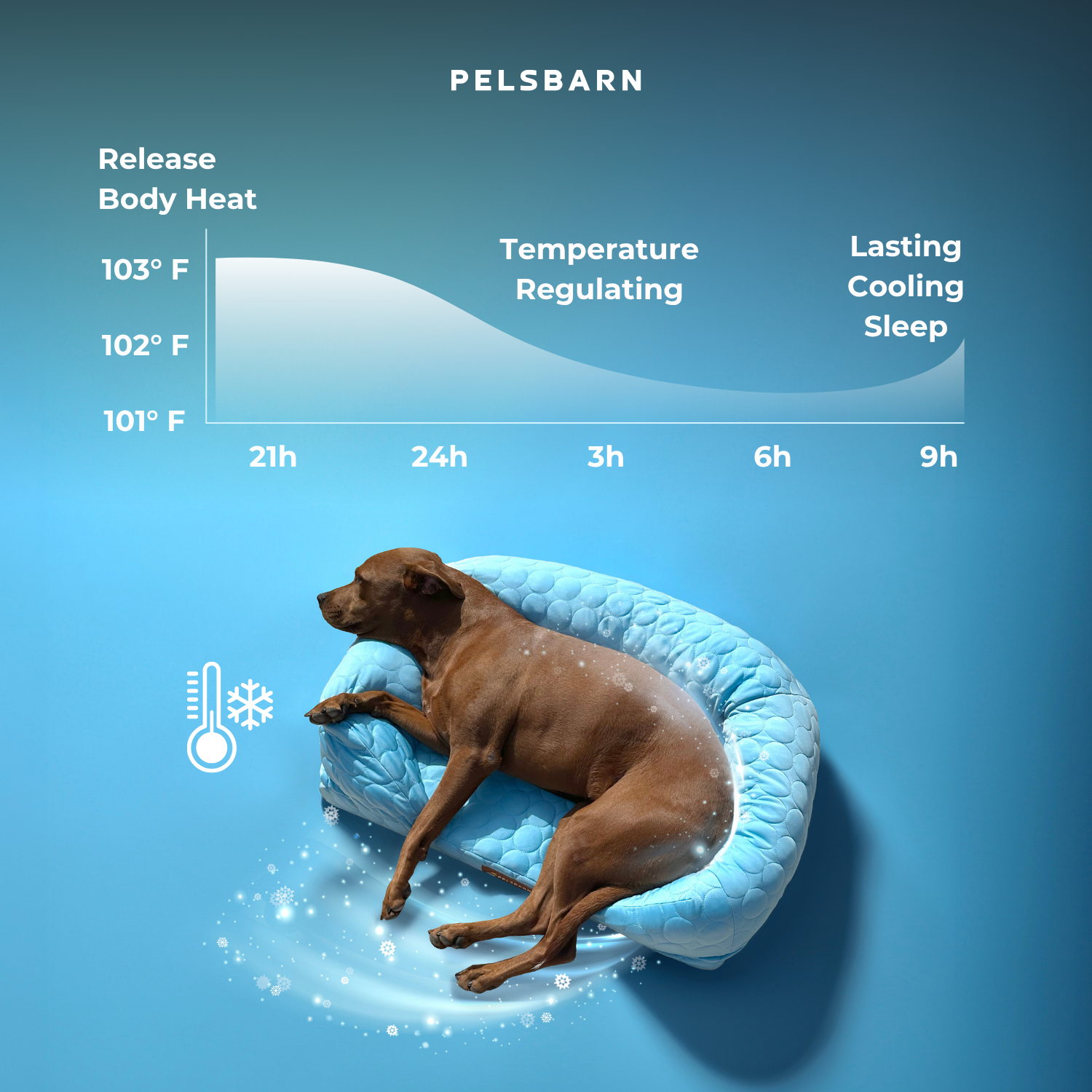Cooling Orthopedic Bed