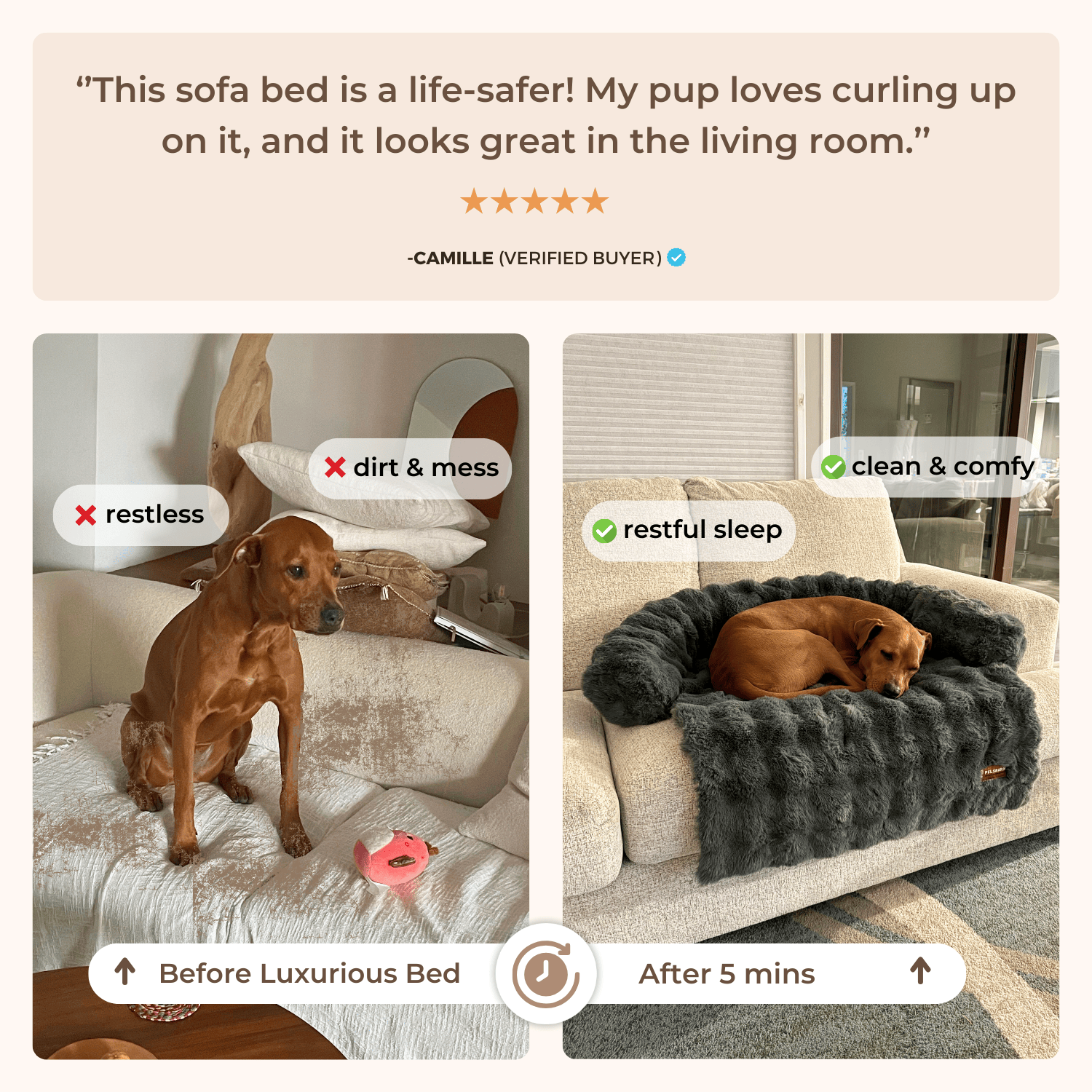 Luxurious Sofa Bed