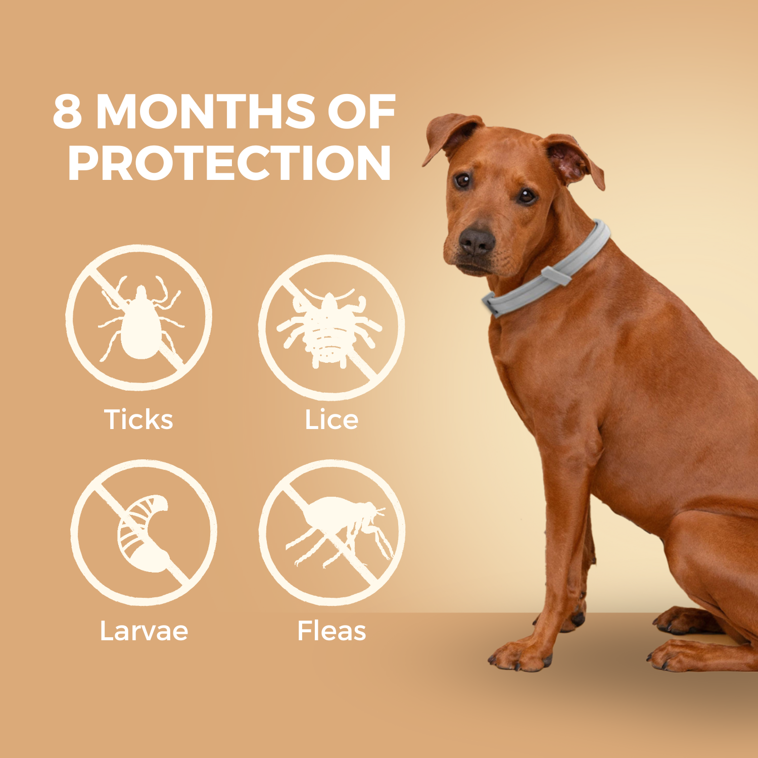Natural Flea & Tick Prevention Collar