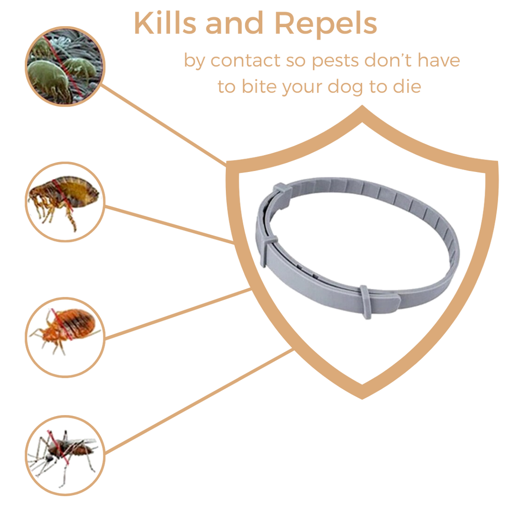 Anti Tick & Flea Collar