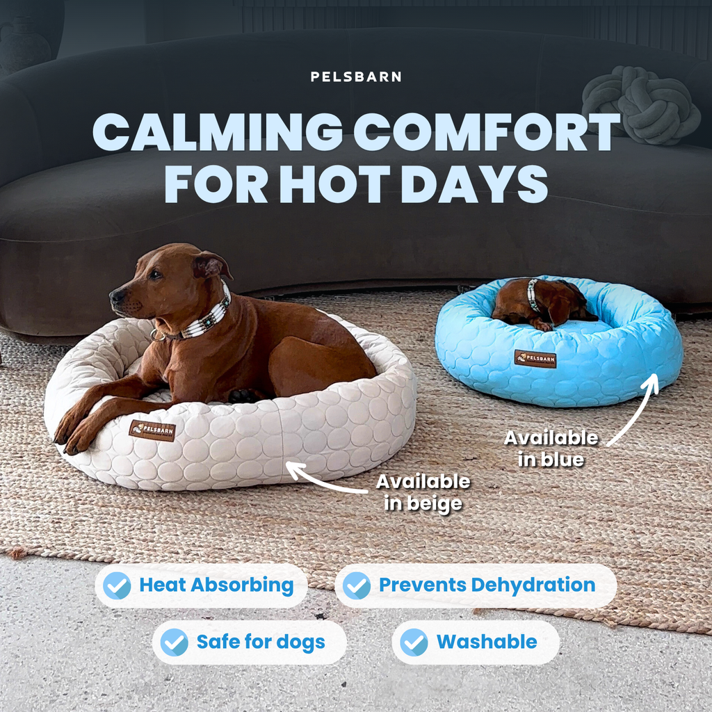 Cooling Donut Bed