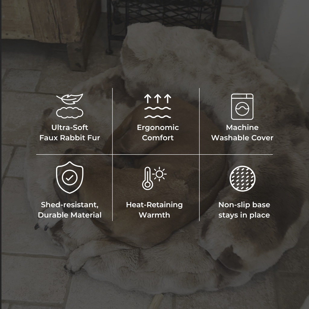 New: The Science of Canine Comfort
