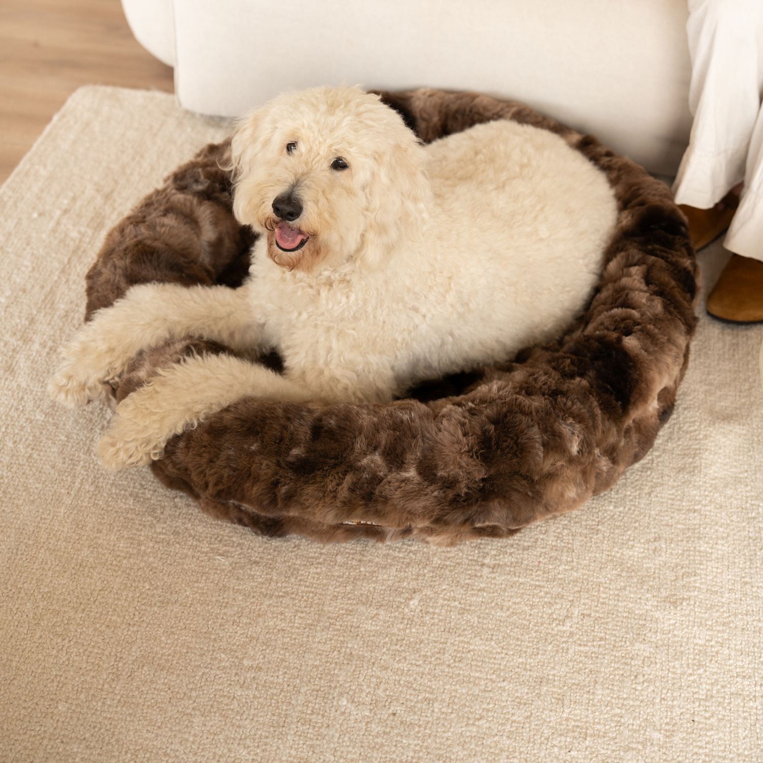 Luxurious Donut Bed