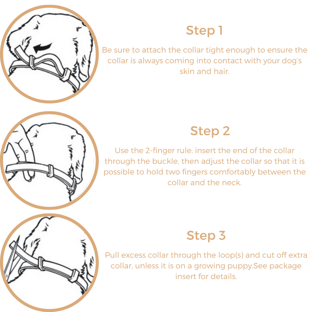 Anti Tick & Flea Collar