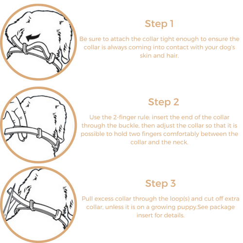 Anti Tick & Flea Collar