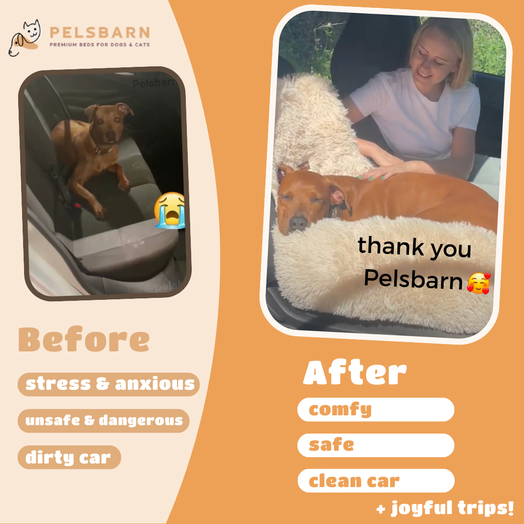 Pelsbarn™ Protecting Car Bed 2.0