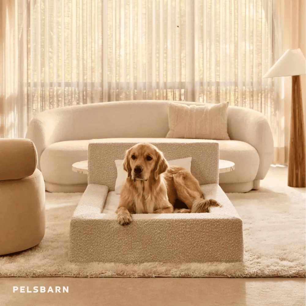 The Real Dog Bed