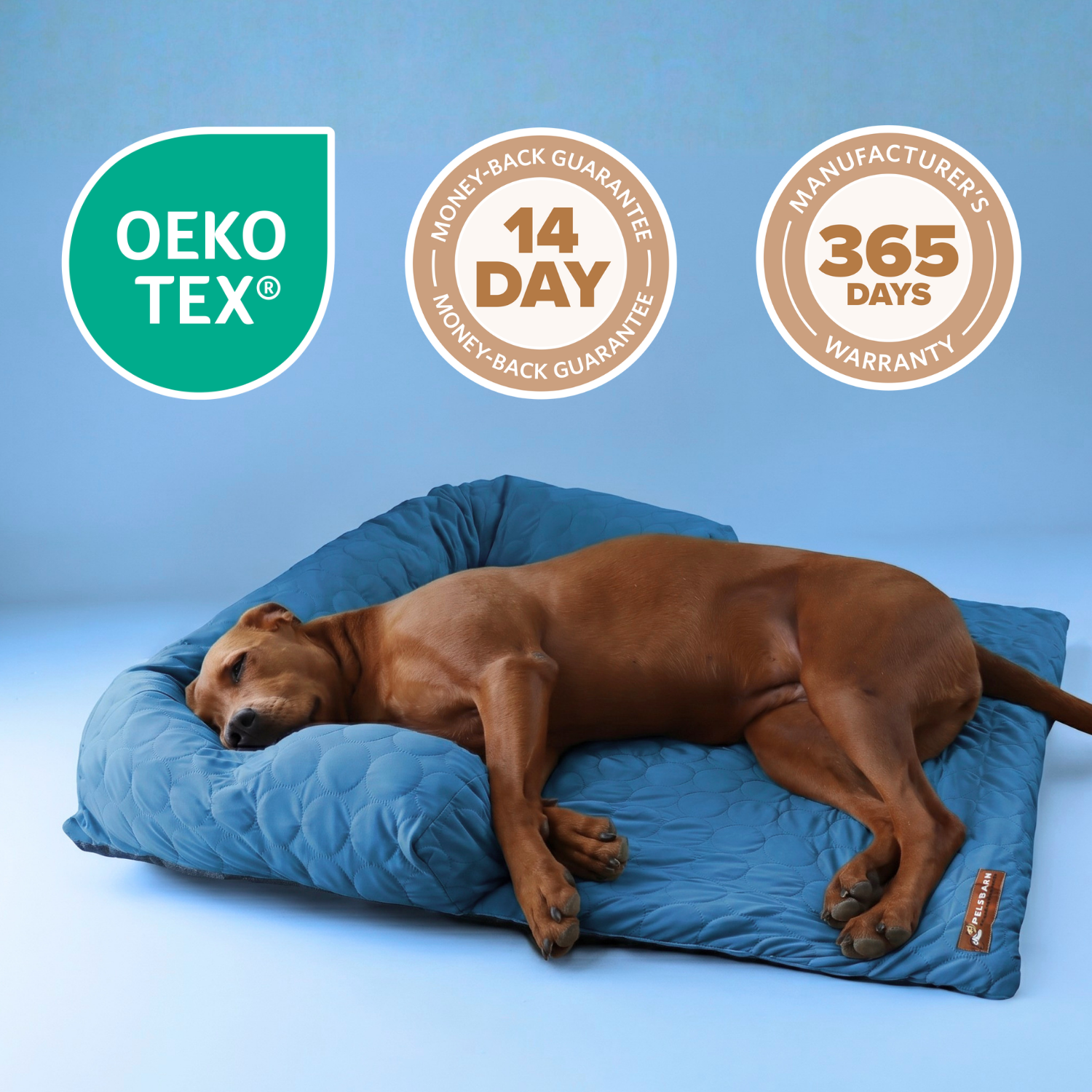 Cooling Sofa Bed
