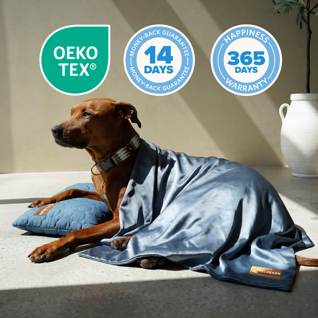Cooling Sheet + Cooling Pillow