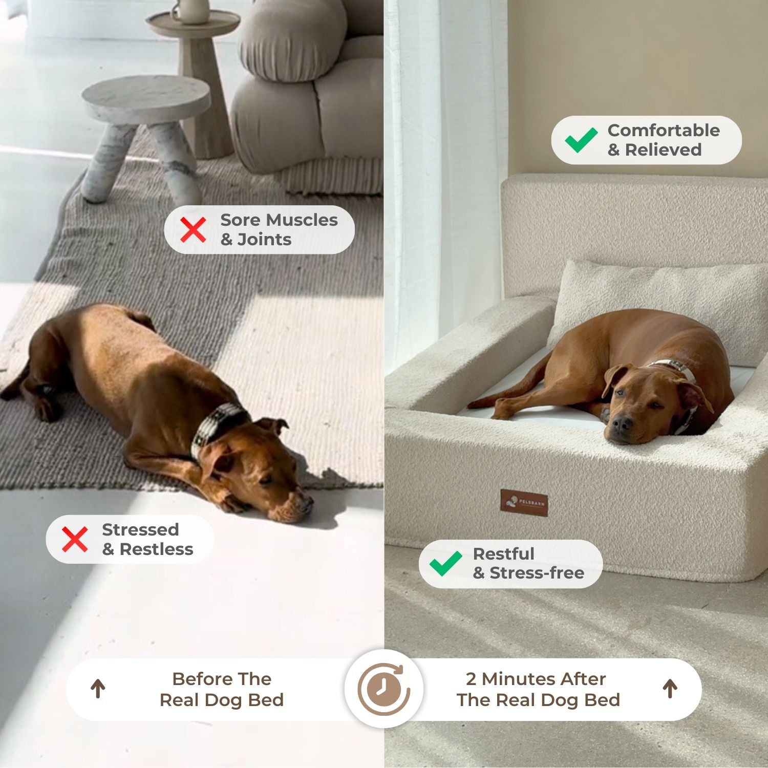 The Real Dog Bed + Free Calming Blanket