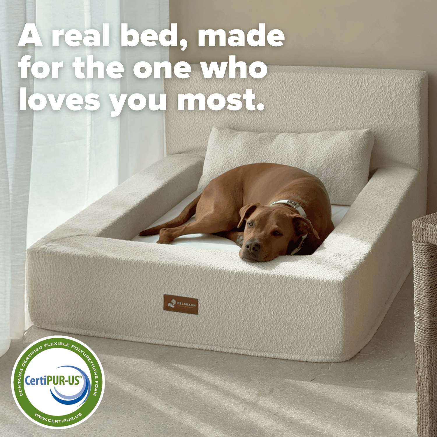 REAL orthopedic bed for dogs (including mattress and pillow)