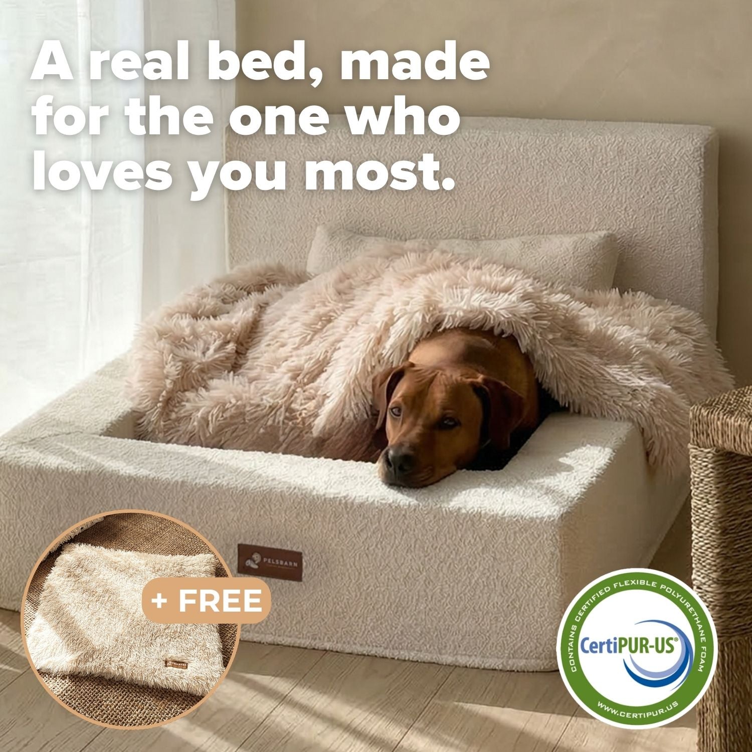 The Real Dog Bed + Free Calming Blanket