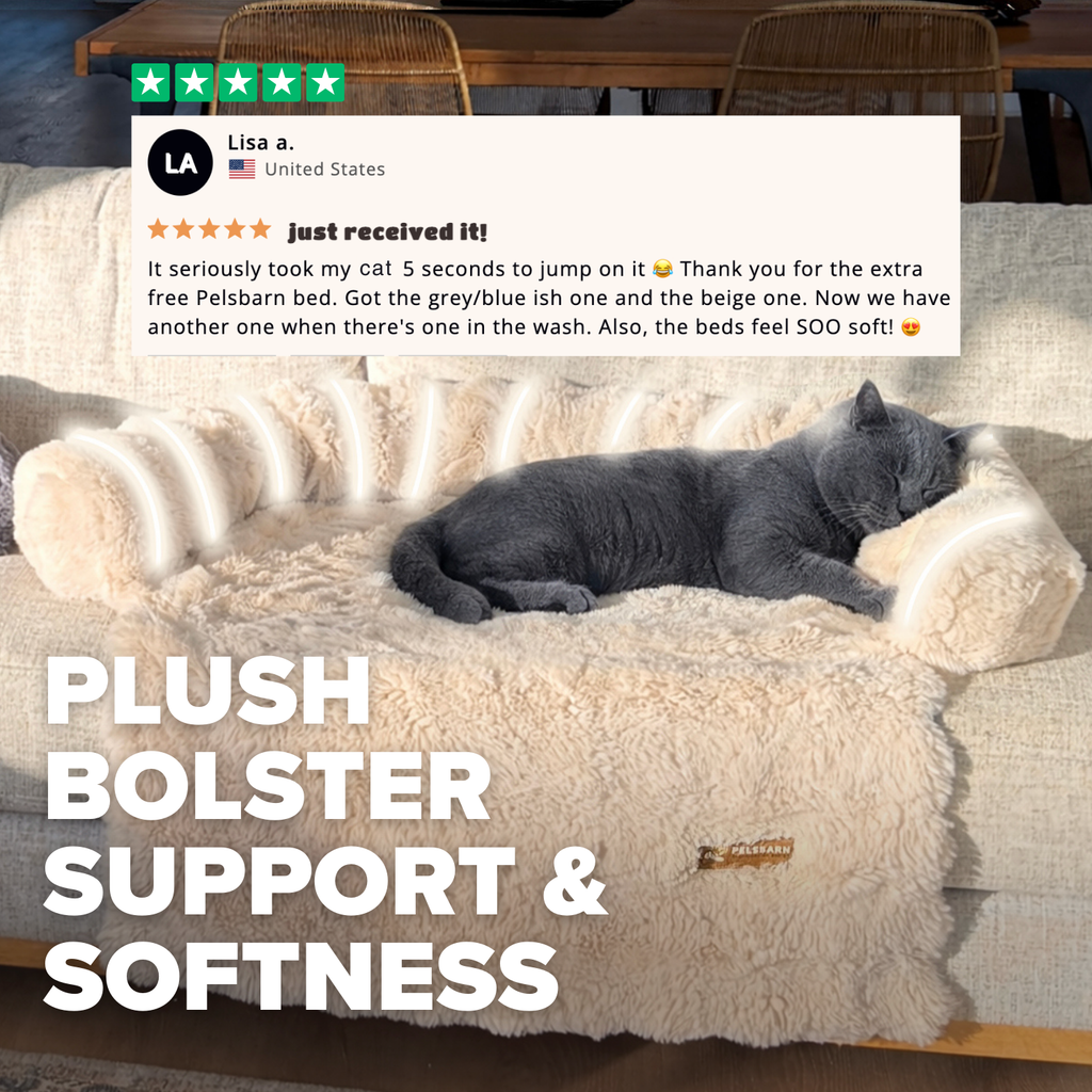 Pelsbarn Luxurious Sofa Bed ( 1+1 ) for Cats