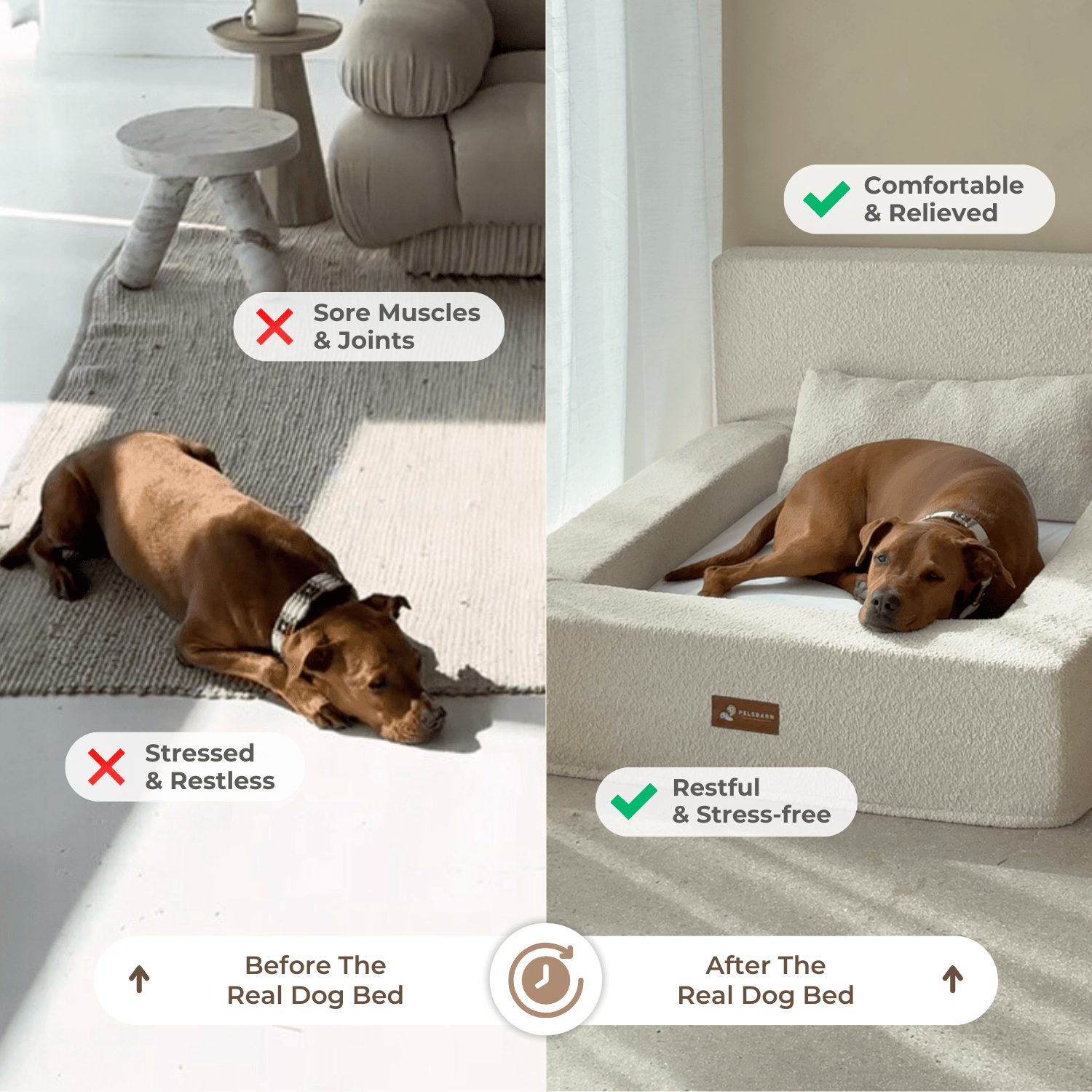 REAL orthopedic bed for dogs (including mattress and pillow)