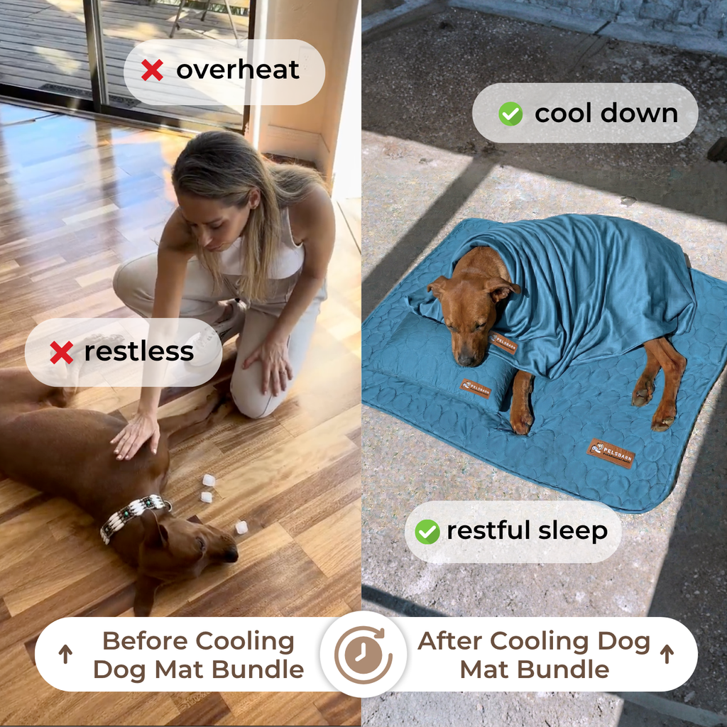 Cooling Mat Bundle