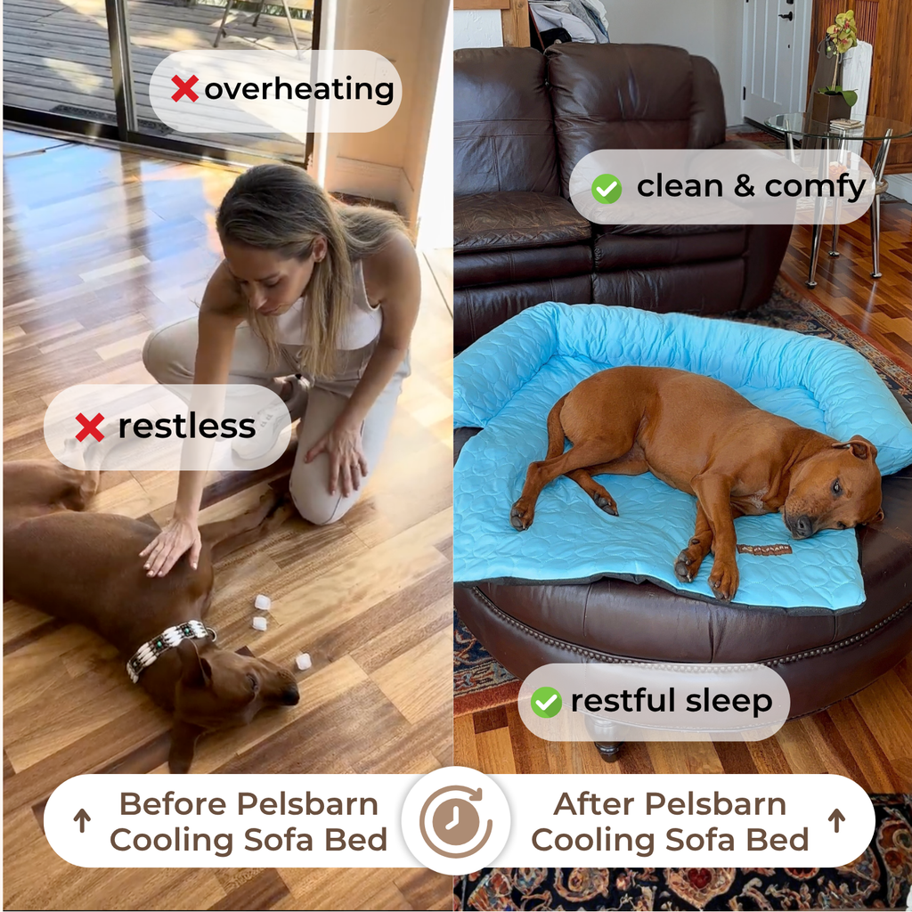 Cooling Sofa Bed