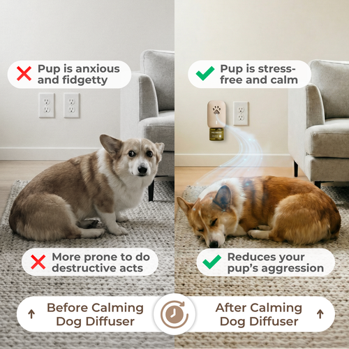 Calming Dog Diffuser