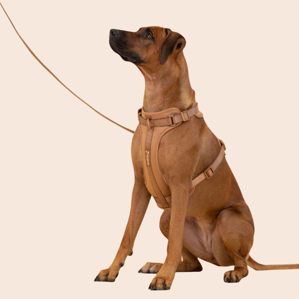 Pelsbarn Harness 1.0
