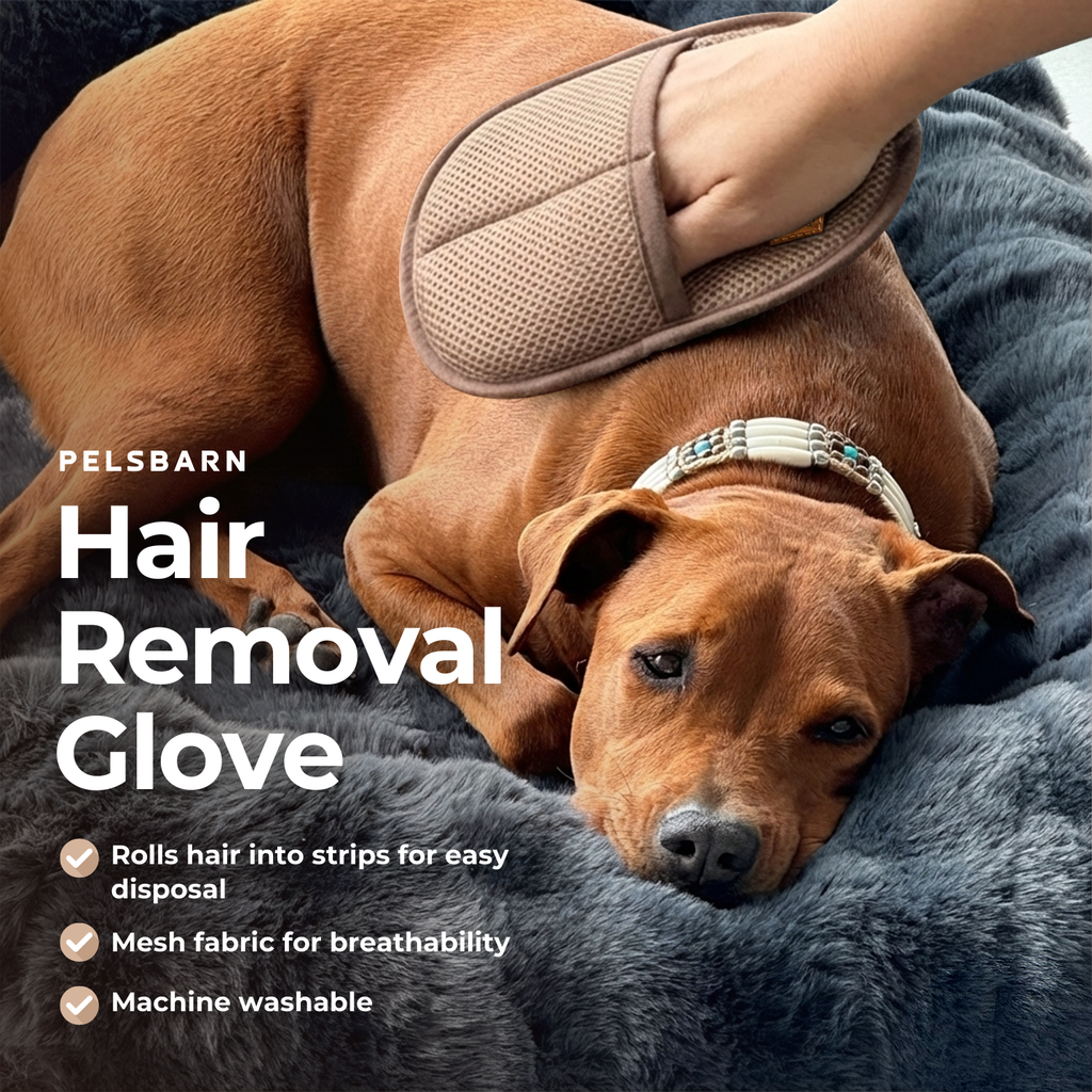 Remove Dog Hair in Seconds