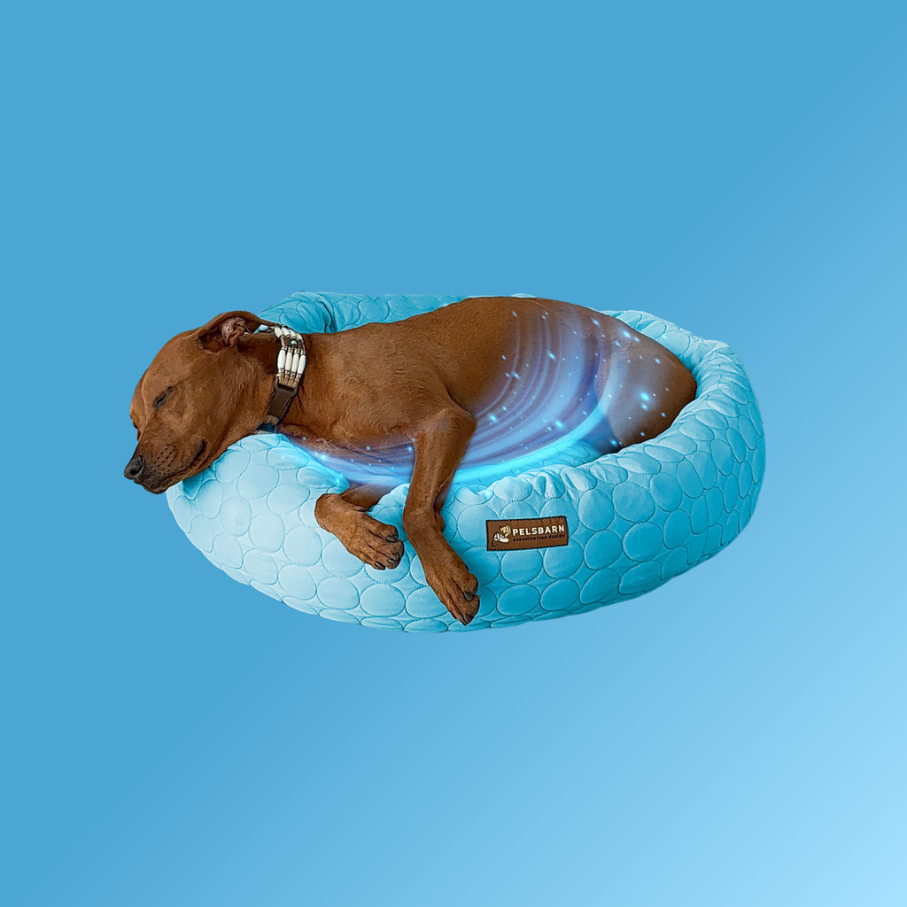 Cooling Donut Bed
