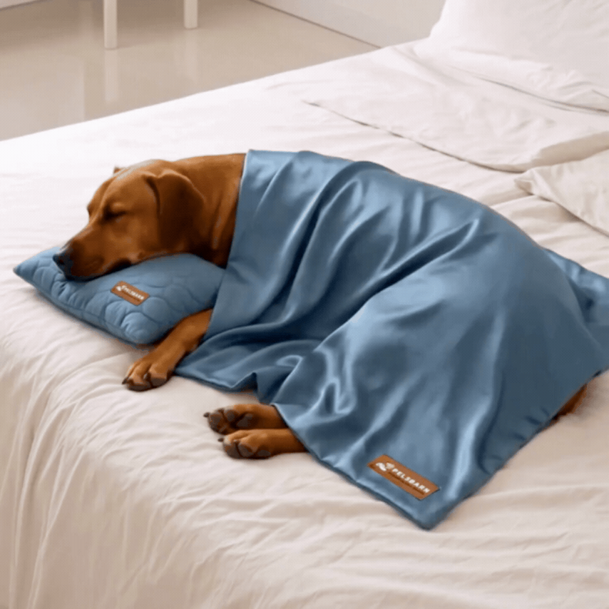 Cooling Sheet + Cooling Pillow