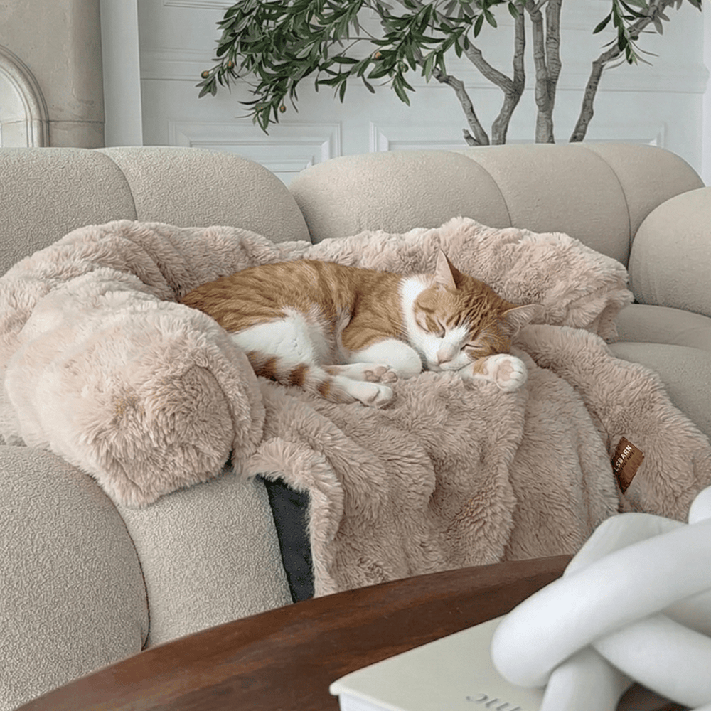 Pelsbarn Luxurious Sofa Bed ( 1+1 ) for Cats