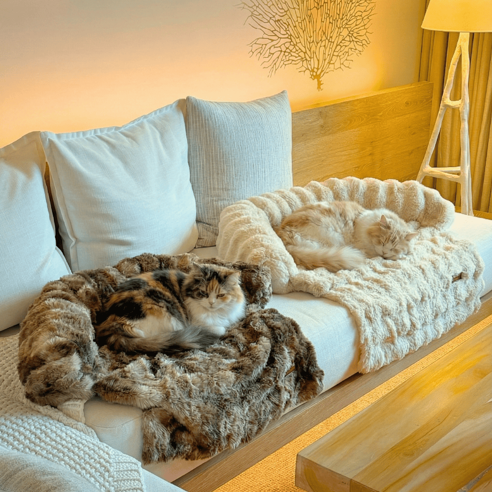 Pelsbarn Luxurious Sofa Bed ( 1+1 ) for Cats
