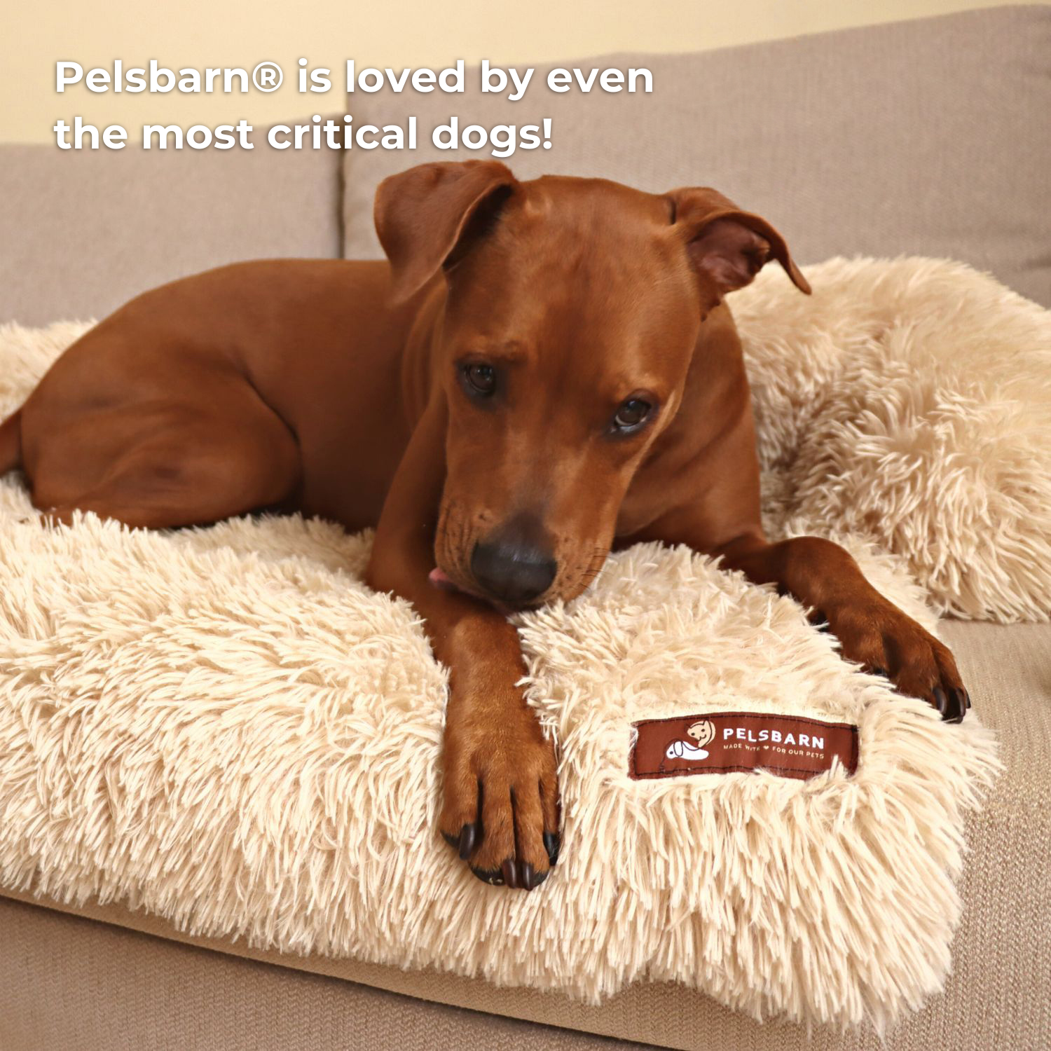 Original Pelsbarn Bed + FREE calming blanket