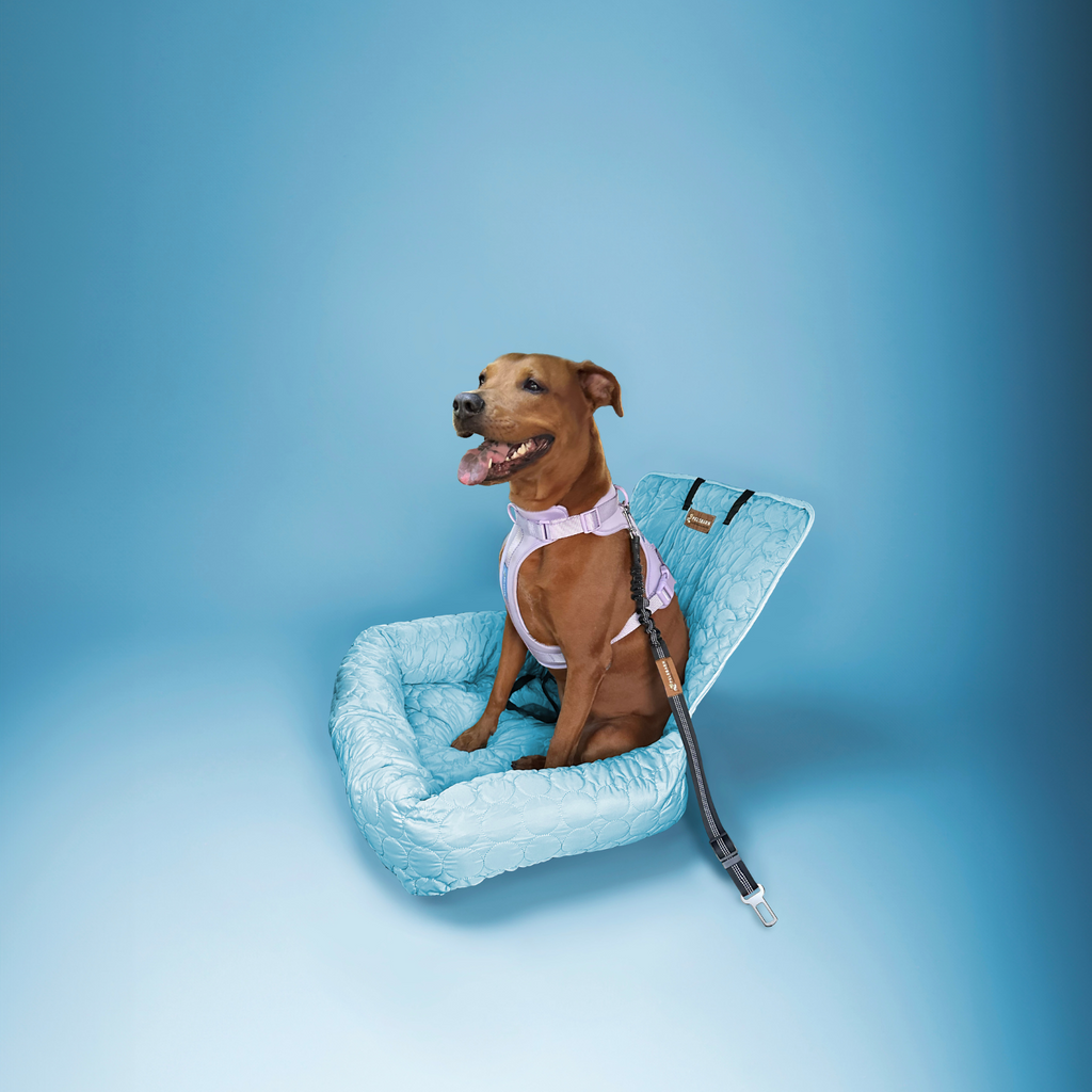 Cooling Car Bed