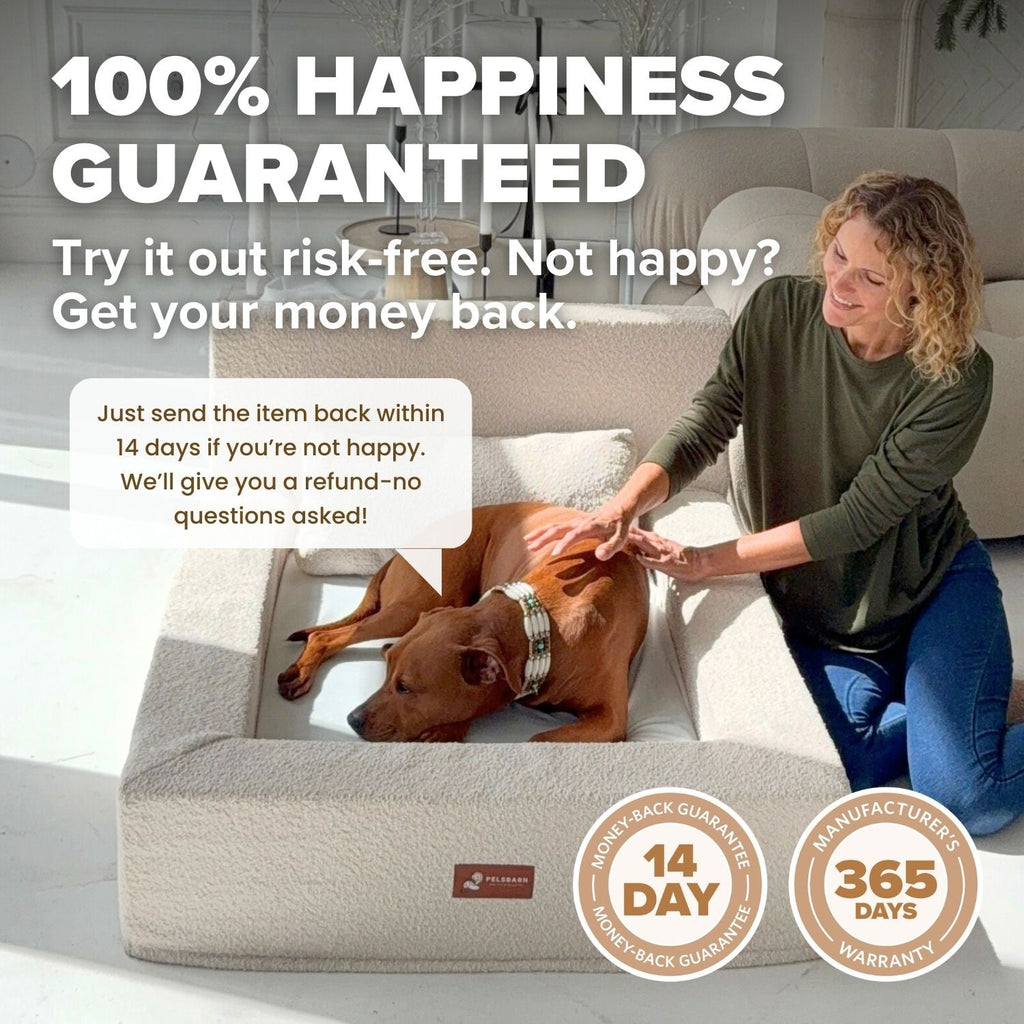 The Real Dog Bed + Free Calming Blanket