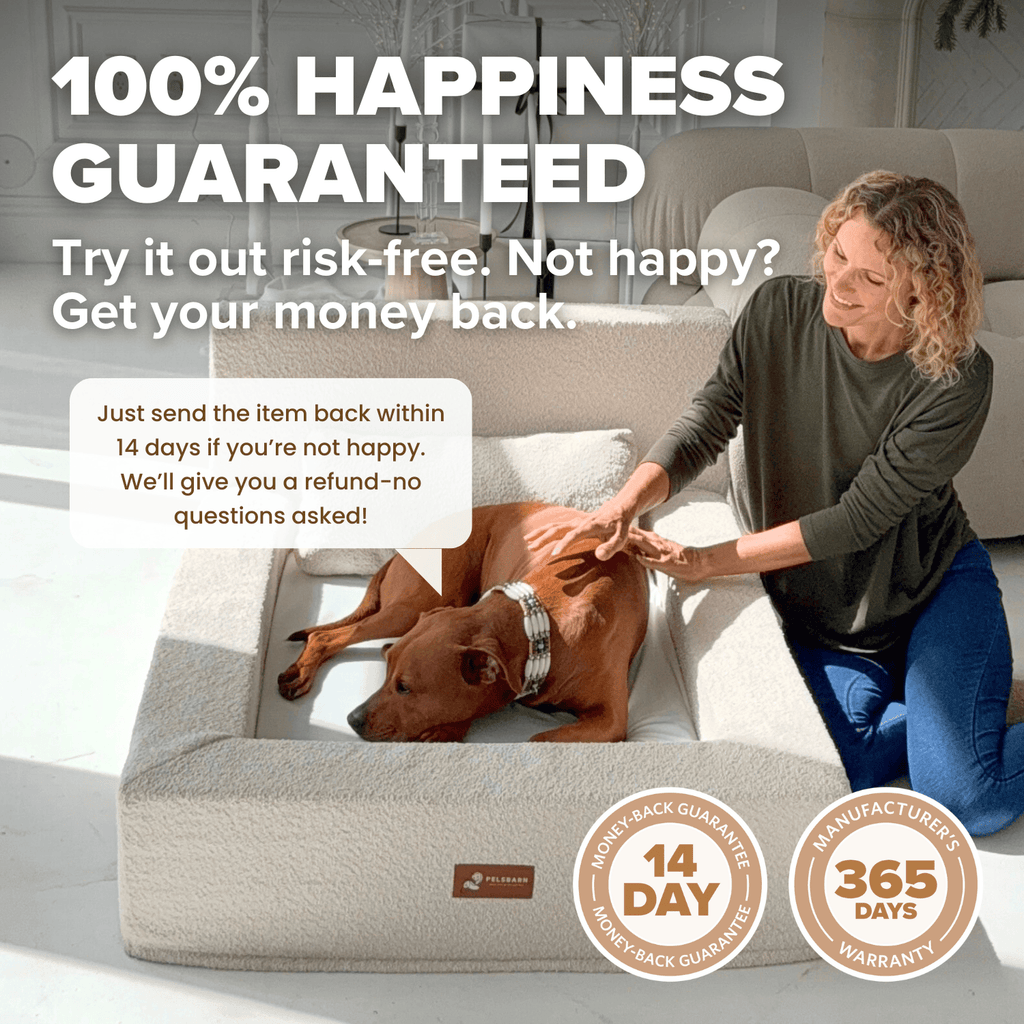 REAL orthopedic bed for dogs (including mattress and pillow)
