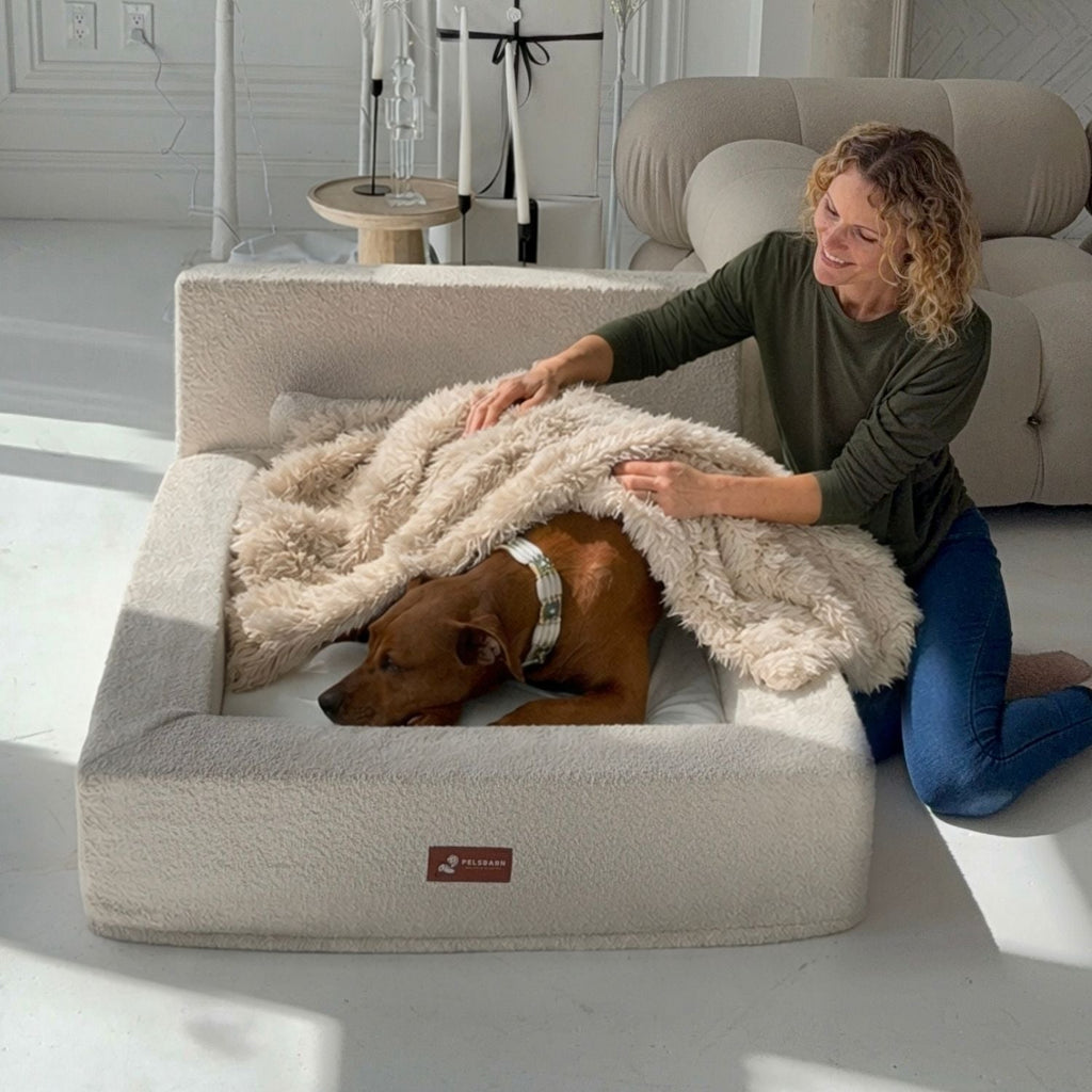 The Real Dog Bed + Free Calming Blanket