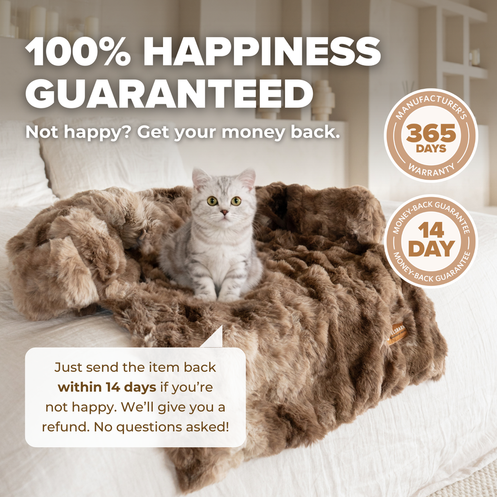 Pelsbarn Luxurious Sofa Bed ( 1+1 ) for Cats