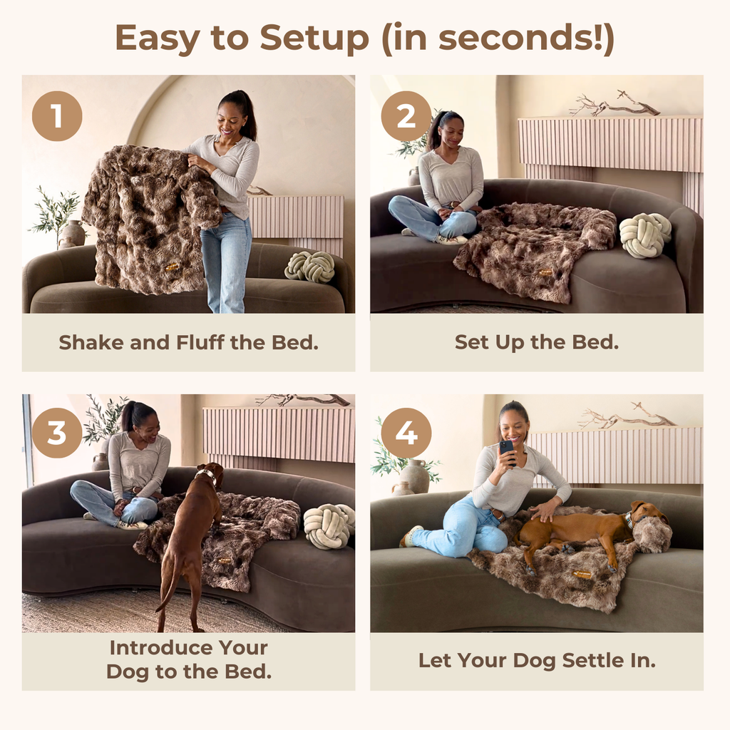 Pelsbarn Luxurious Sofa Bed ( 1+1 ) for Cats