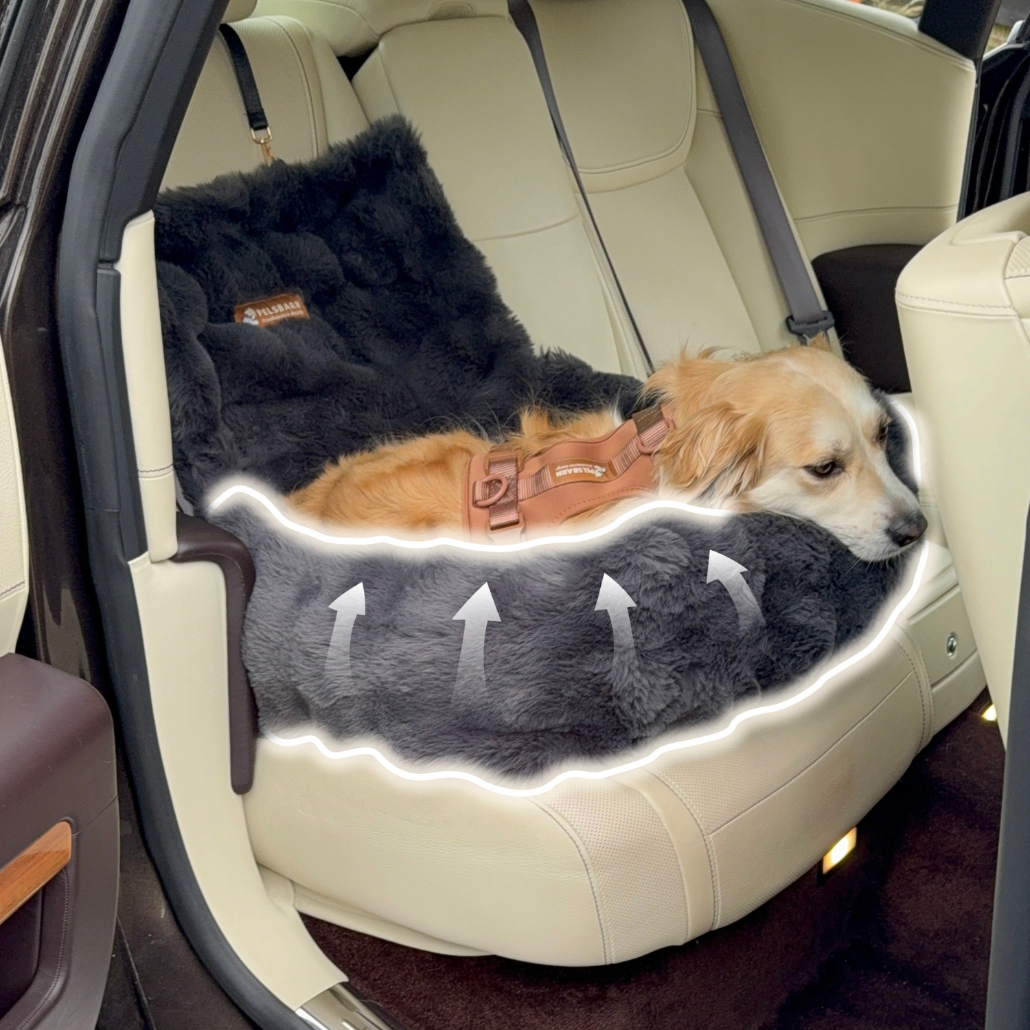 Luxurious Cozy Car Bed