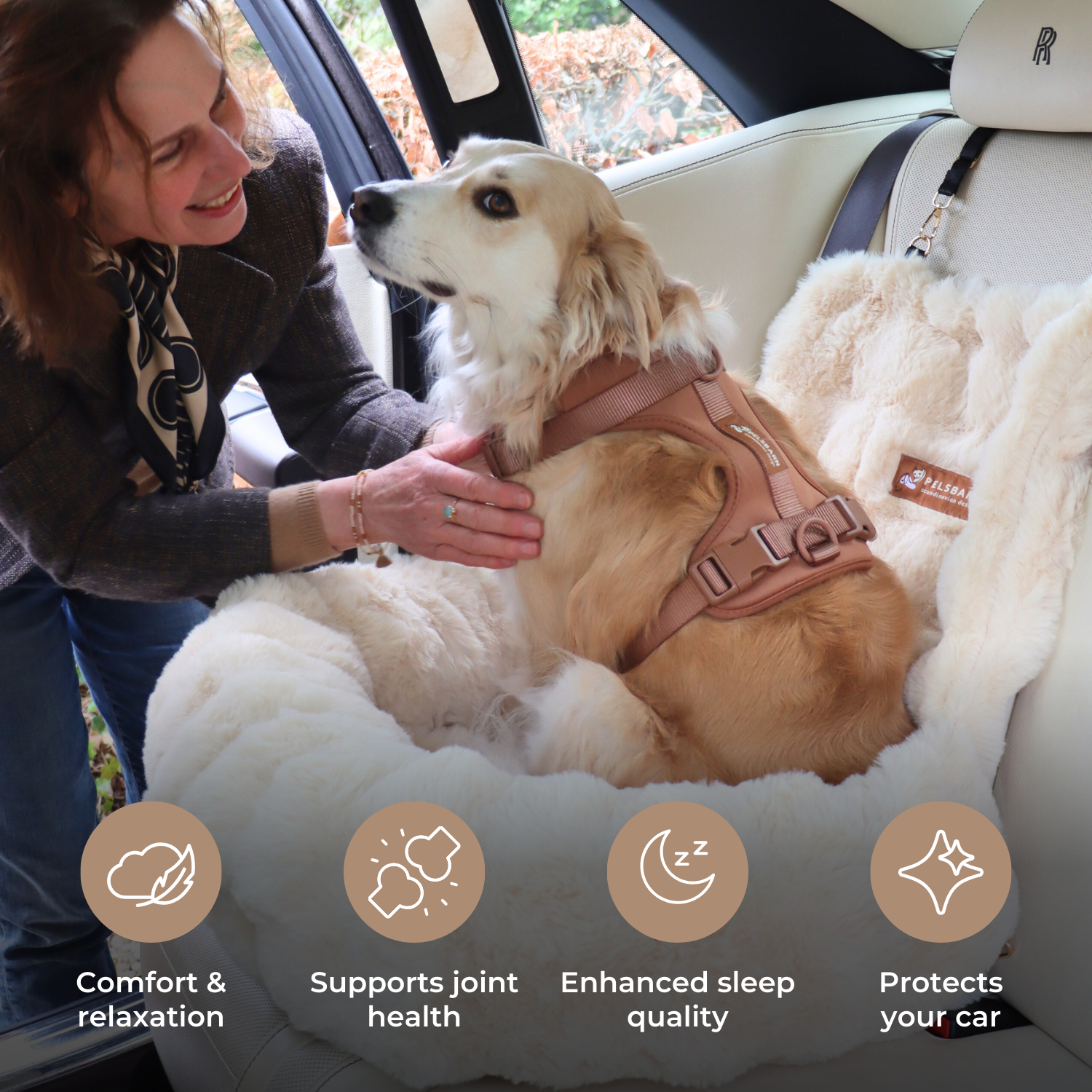 Luxurious Cozy Car Bed
