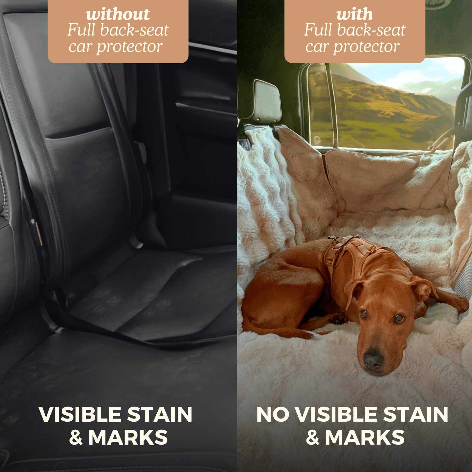 Luxurious Full Backseat Protector