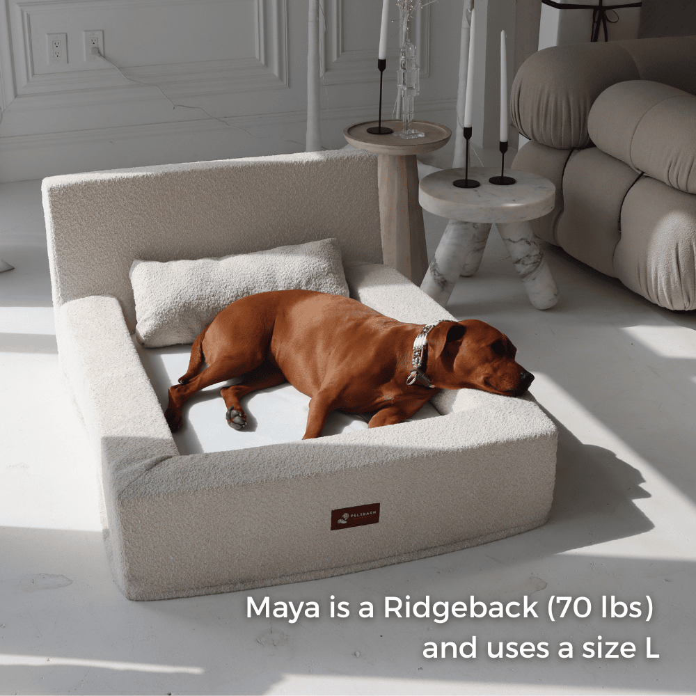 REAL orthopedic bed for dogs (including mattress and pillow)