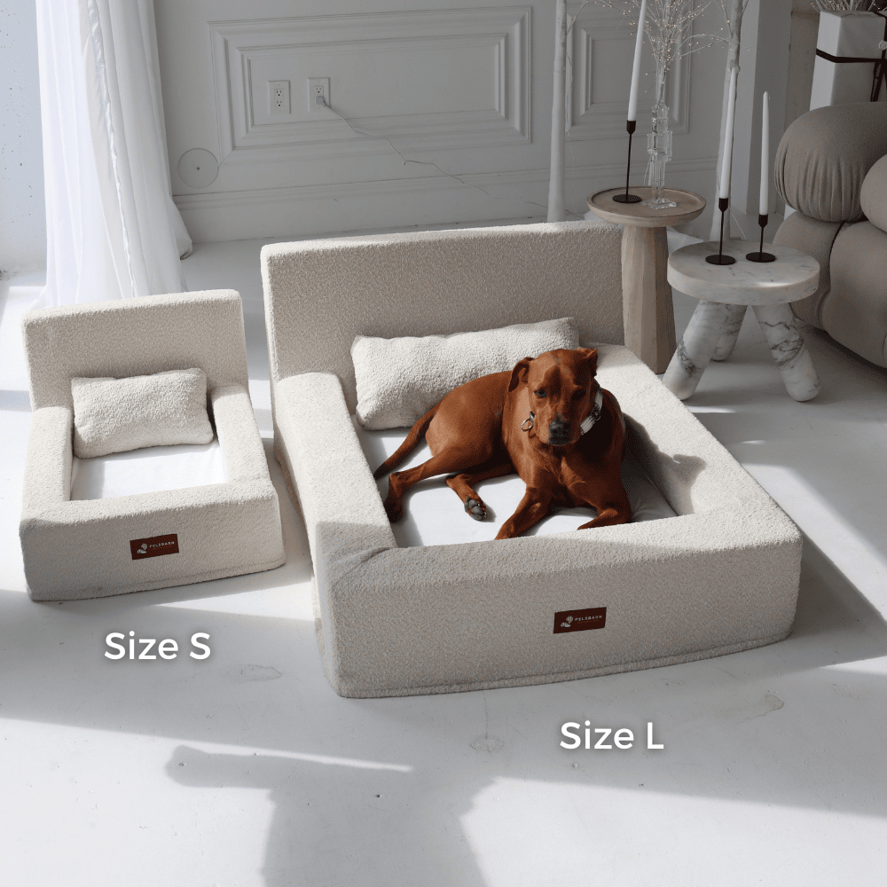 REAL orthopedic bed for dogs (including mattress and pillow)