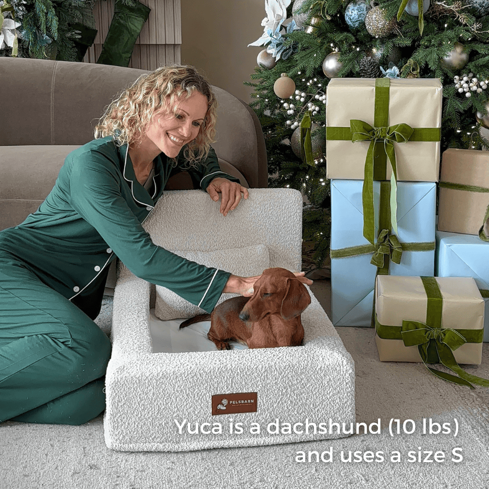 REAL orthopedic bed for dogs (including mattress and pillow)