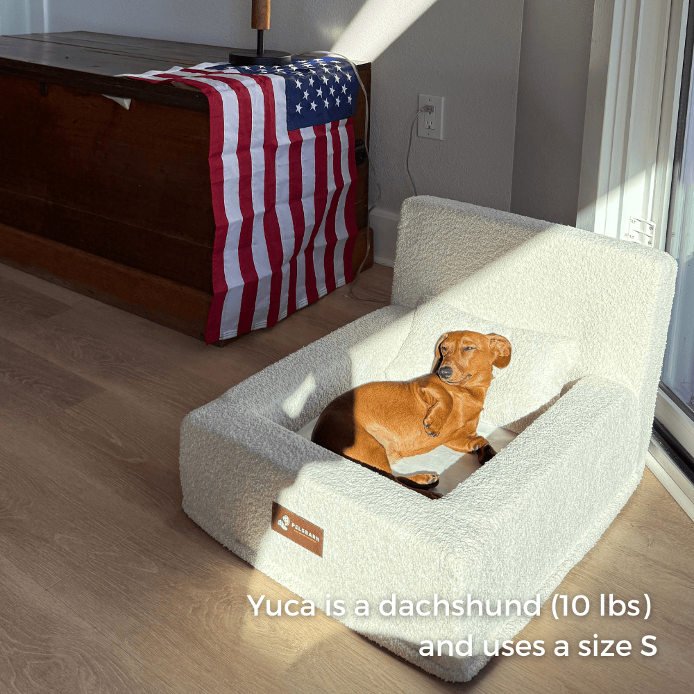 REAL orthopedic bed for dogs (including mattress and pillow)