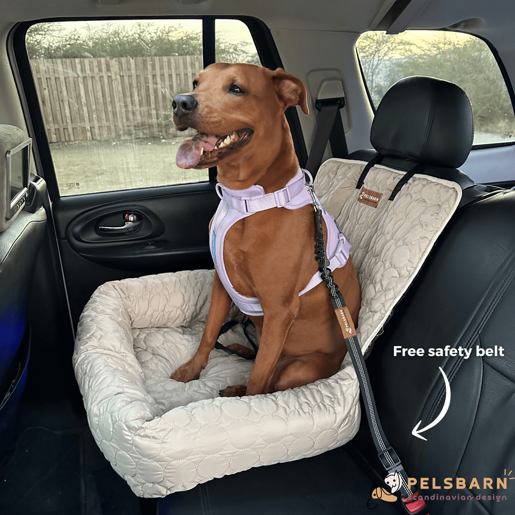 Cooling Car Bed