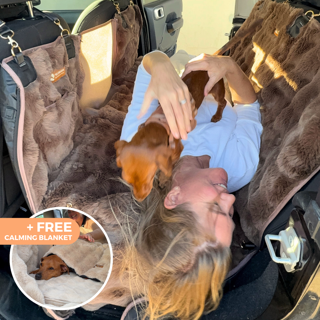 Luxurious Full Backseat Protector + Free Calming Blanket