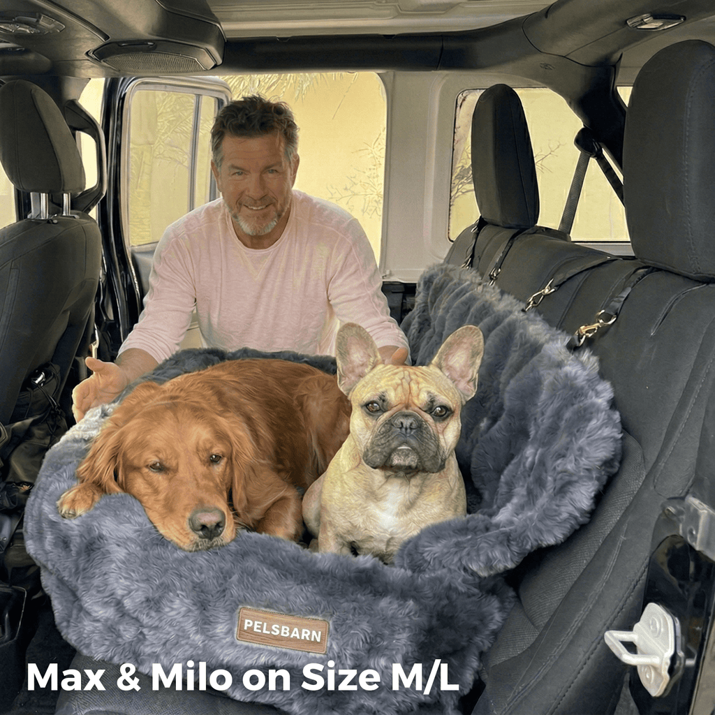 Luxurious Cozy Car Bed