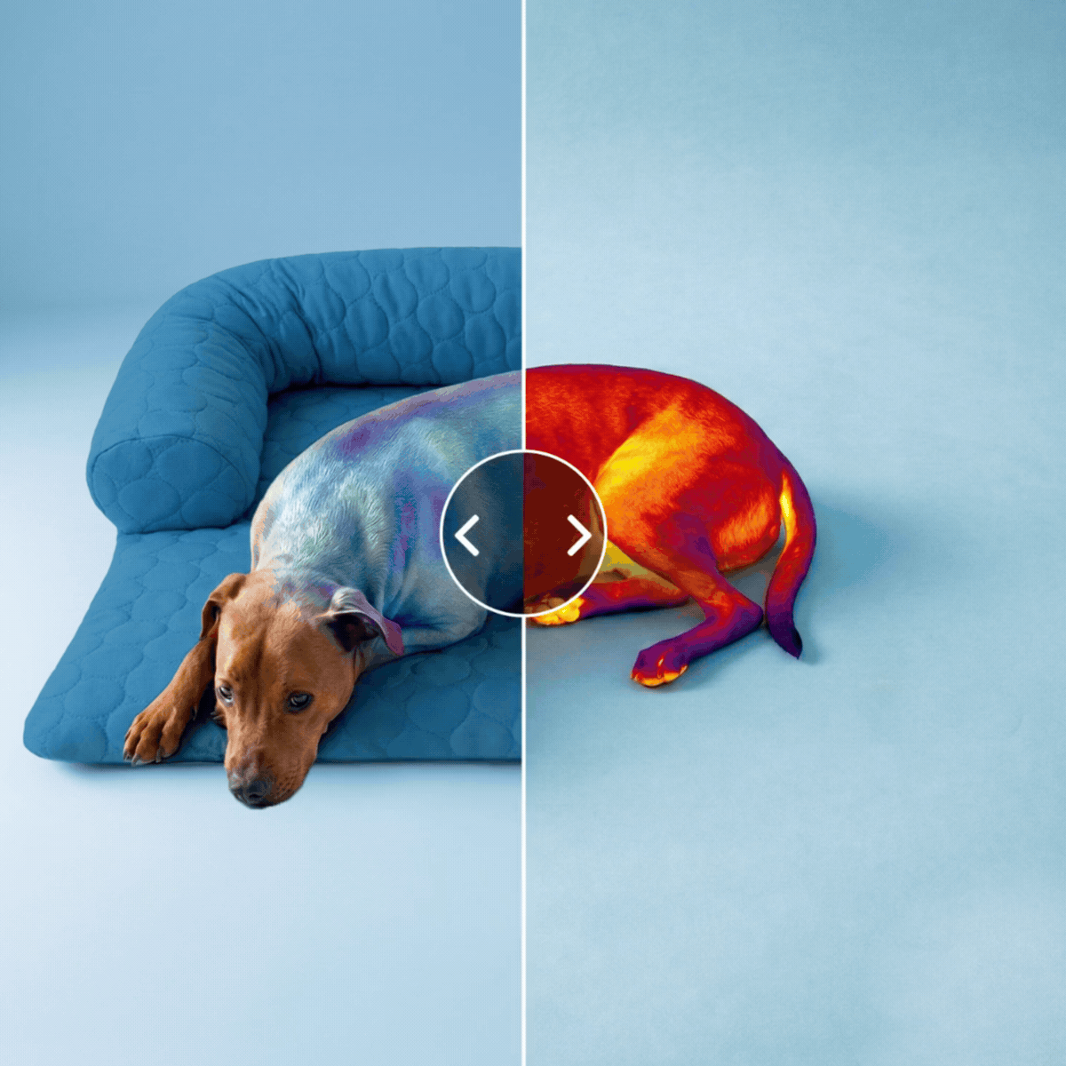 Cooling Sofa Bed
