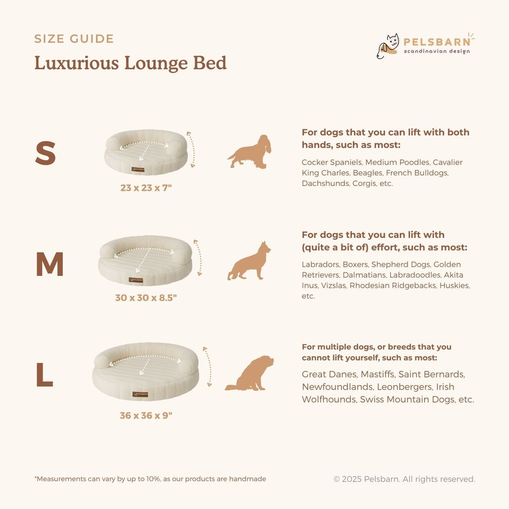 New: The Science of Canine Comfort